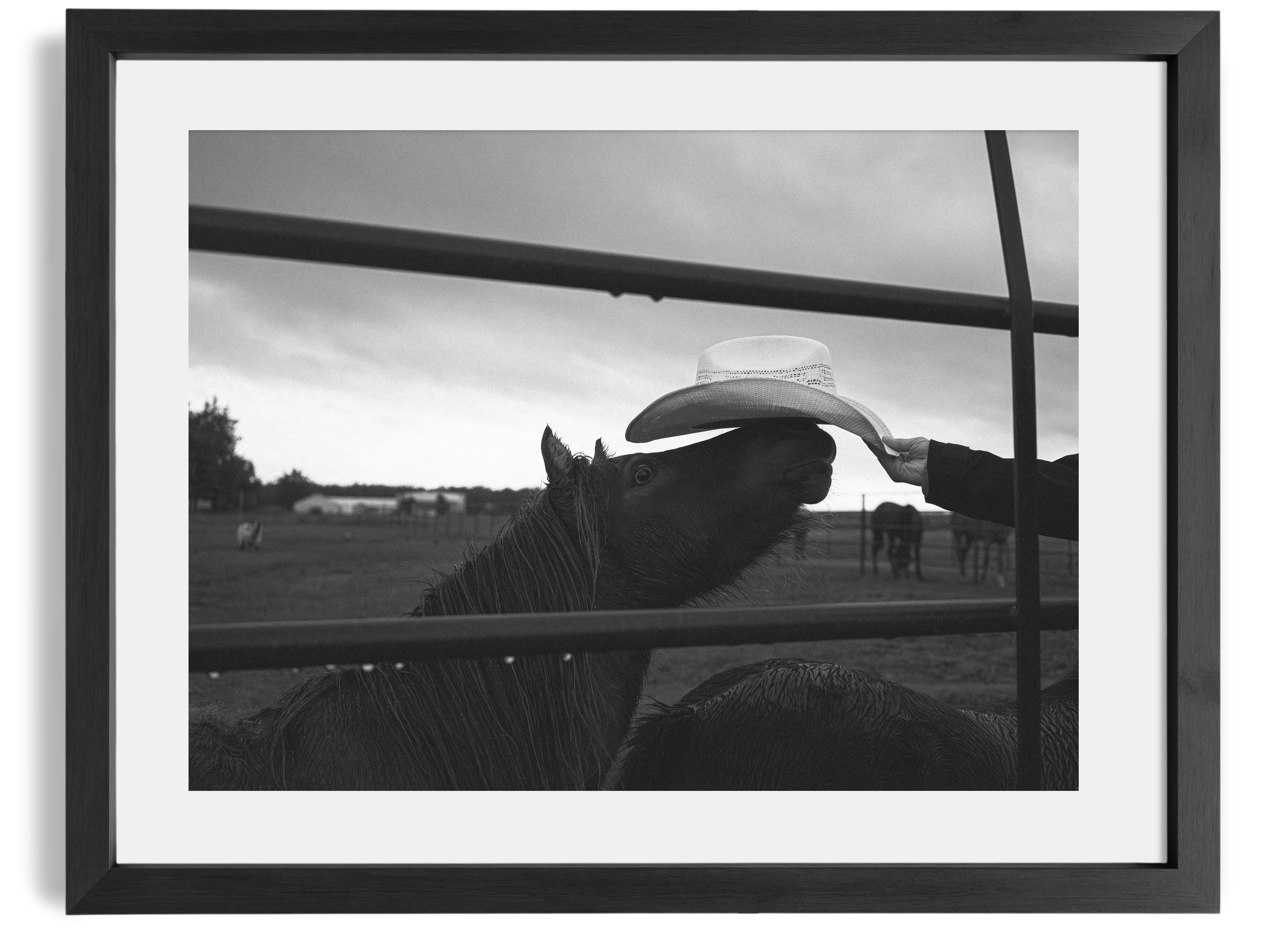 "Where Time Won't Reach Us"